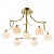 Потолочная люстра Odeon Light Rondo 1812/7C