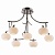 Потолочная люстра Odeon Light Rondo 1813/7C