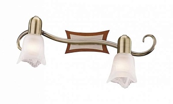 Спот Odeon Light Ilsa 1968/2W
