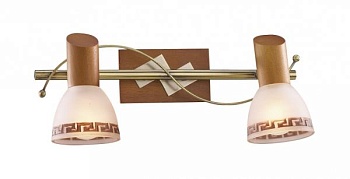 Спот Odeon Light Vario 1970/2W