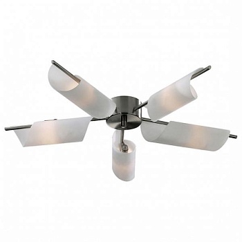 Потолочная люстра Odeon Light Ray 2014/5C