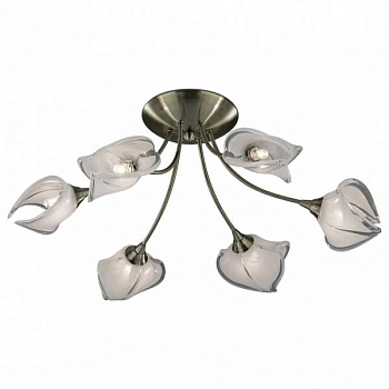 Потолочная люстра Odeon Light Antra 2049/6C