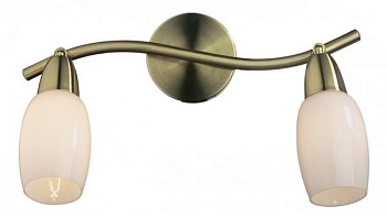 Спот Odeon Light Otta 2067/2W