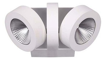 Спот Odeon Light Laconis 3538/2WA