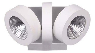 Спот Odeon Light Laconis 3538/2WA