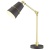 Настольная лампа офисная Odeon Light Carlos 4153/1T