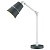 Настольная лампа офисная Odeon Light Carlos 4154/1T