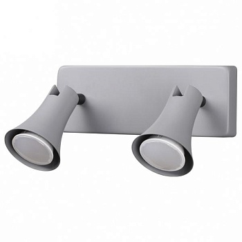 Спот Odeon Light Reanna 3825/2W