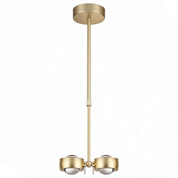 Светильник на штанге Odeon Light Ottico 3874/20L