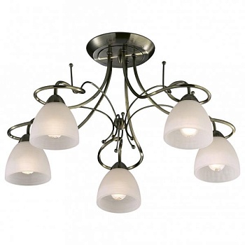 Потолочная люстра Odeon Light Kaena 2120/5C
