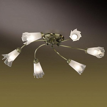 Потолочная люстра Odeon Light Nella 2129/6C