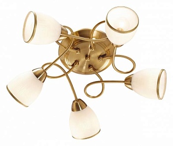 Потолочная люстра Odeon Light Foko 2561/5C