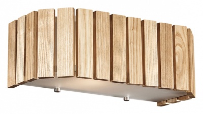 Накладной светильник Odeon Light Niko 2203/1W