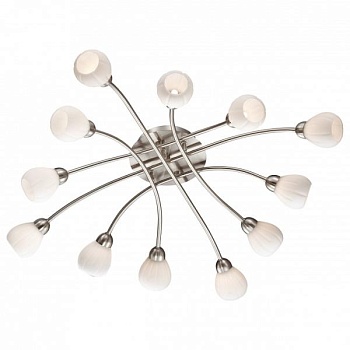 Потолочная люстра Odeon Light Akron 2469/12C