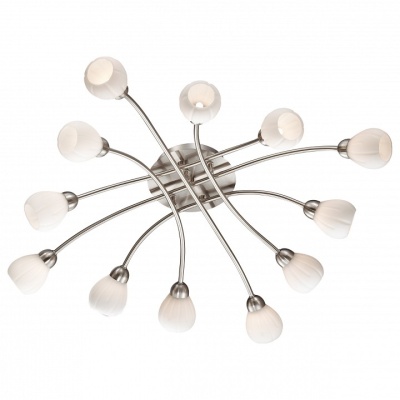 Потолочная люстра Odeon Light Akron 2469/12C