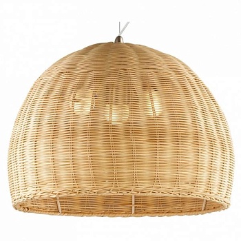 Подвесной светильник Odeon Light Buta 2490/3