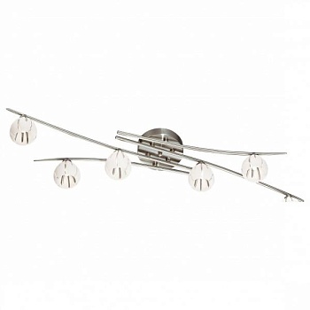 Потолочная люстра Odeon Light Kinston 2465/6C