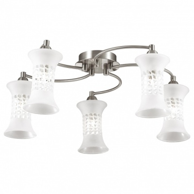 Потолочная люстра Odeon Light Rukba 2516/5C
