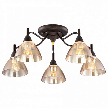 Потолочная люстра Odeon Light Treves 2625/5C