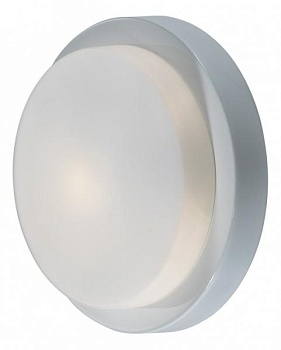 Накладной светильник Odeon Light Holger 2745/1C