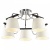 Потолочная люстра Odeon Light Salanso 2931/5C