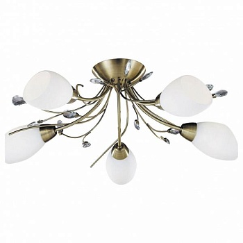 Потолочная люстра Arte Lamp Gardenia A2766PL-5AB