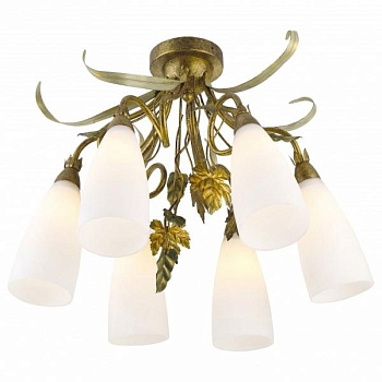 Потолочная люстра Arte Lamp Tipico A8935PL-6GA