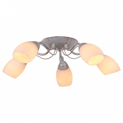 Потолочная люстра Arte Lamp Carlo A8105PL-5WG
