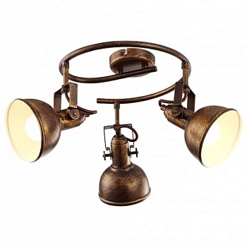 Спот Arte Lamp Martin A5215PL-3BR