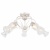 Потолочная люстра Arte Lamp Gemma A6335PL-5WG Потолочная люстра Arte Lamp Gemma A6335PL-5WG
