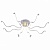 Потолочная люстра Arte Lamp 2521 A2521PL-8WH