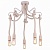 Потолочная люстра Arte Lamp 9477 A9477PL-5WG