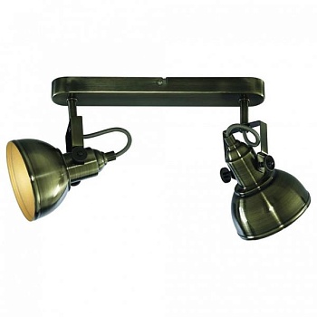 Спот Arte Lamp Martin A5213AP-2AB