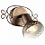 Спот Arte Lamp Focus A5219AP-1BR