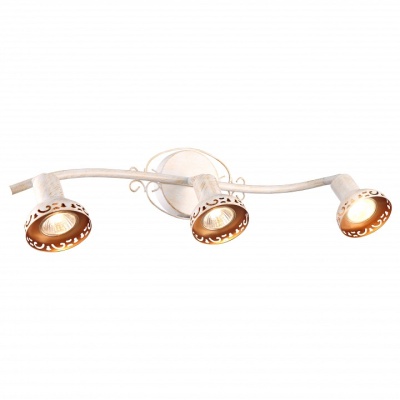 Спот Arte Lamp Focus A5219PL-3WG
