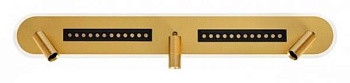 Спот Arte Lamp Pisces A2220PL-3GO