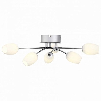 Потолочная люстра ST-Luce Luna SL478.102.06