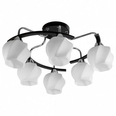 Потолочная люстра TopLight Milana TL2750X-06WC