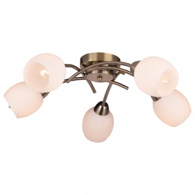 Потолочная люстра TopLight Merry TL3780X-05AB