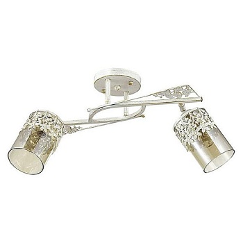 Спот Lumion Mirela 3096/2C