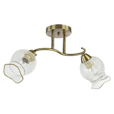 Светильник на штанге Lumion Rozetta 3109/2C