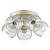 Спот Lumion Clodina 3116/5CA