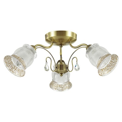 Потолочная люстра Lumion Rakella 3415/3C