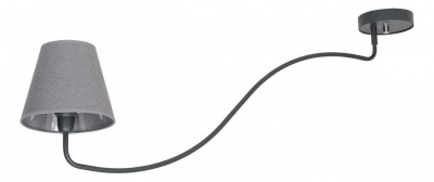 Светильник на штанге Nowodvorski Swivel Graphite 6550