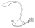 Настольная лампа офисная Globo Shannon 58243 Настольная лампа офисная Globo Shannon 58243