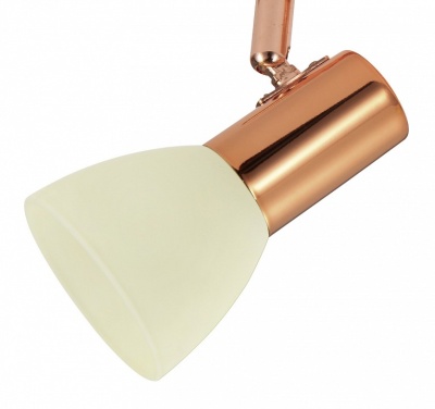 Спот Eglo Glossy 2 94739
