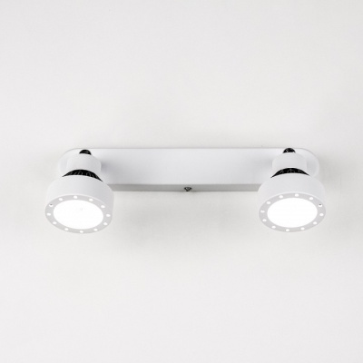 Спот Citilux Данди CL557521