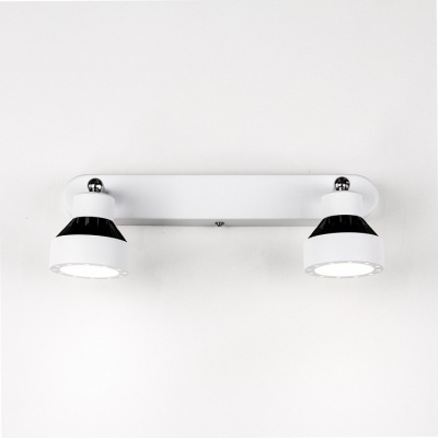 Спот Citilux Данди CL557521
