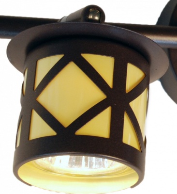 Спот Citilux Гессен CL536521