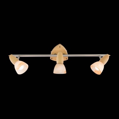 Спот Citilux Монте CL505531